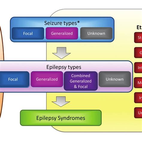 international league against epilepsy 2017.